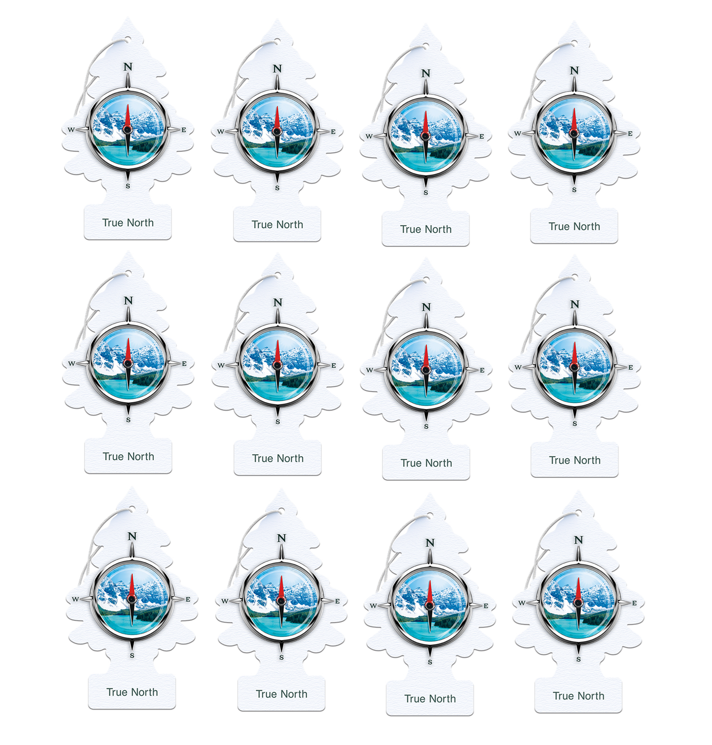 Little Trees Air Freshener True North (Pack of 12) 17146