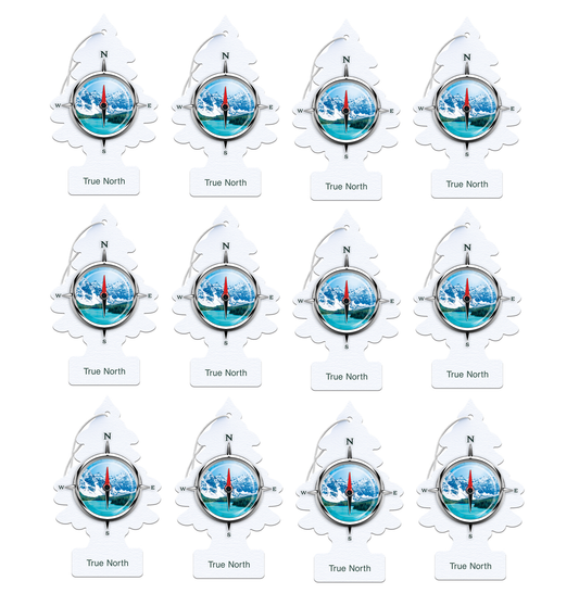 Little Trees Air Freshener True North (Pack of 12) 17146