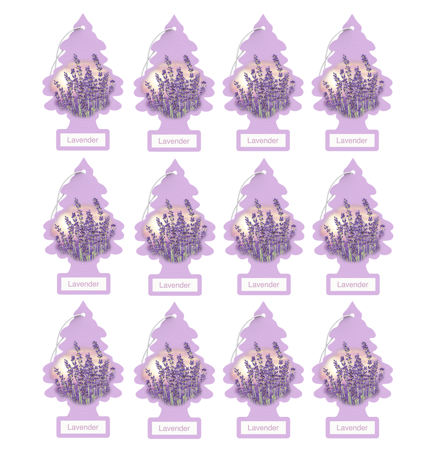 Little Trees Air Freshener Lavender (Pack of 12) 10435