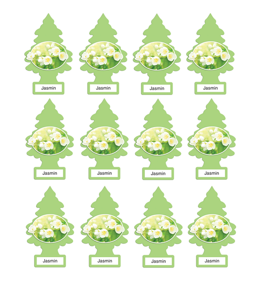 Little Trees Air Freshener Jasmine (Pack of 12) 10433
